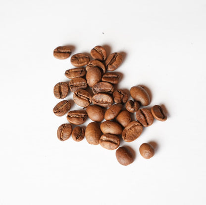 Nicaragua - La Escondida - Anaerobic